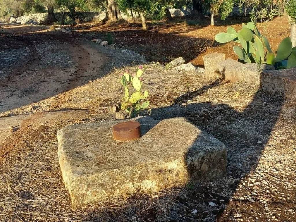 Rustico / casale a Ceglie messapica in Contrada Barone S.N.C. - Foto 4