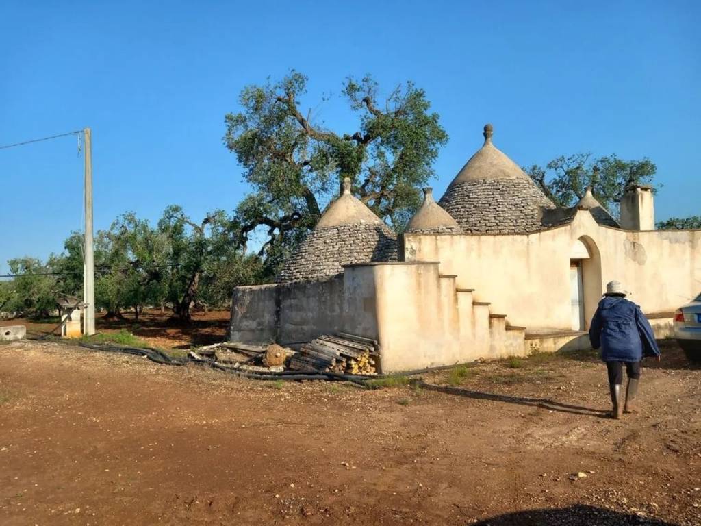 Rustico / casale a Ceglie messapica in Contrada Natalicchio S.N.C. - Foto 3