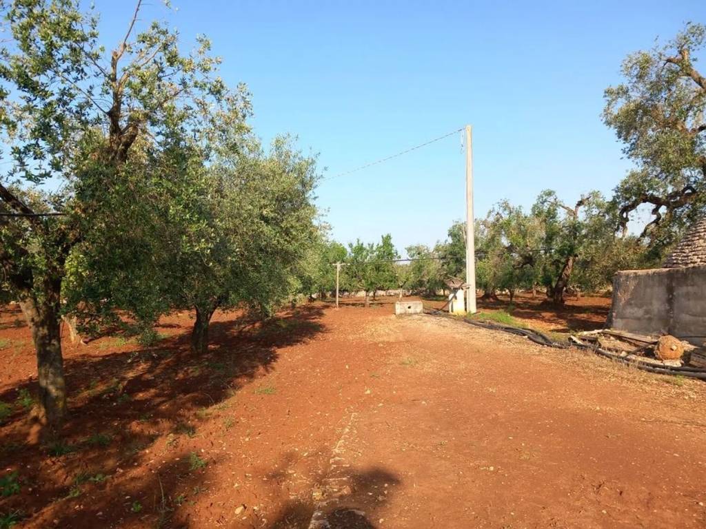 Rustico / casale a Ceglie messapica in Contrada Natalicchio S.N.C. - Foto 4