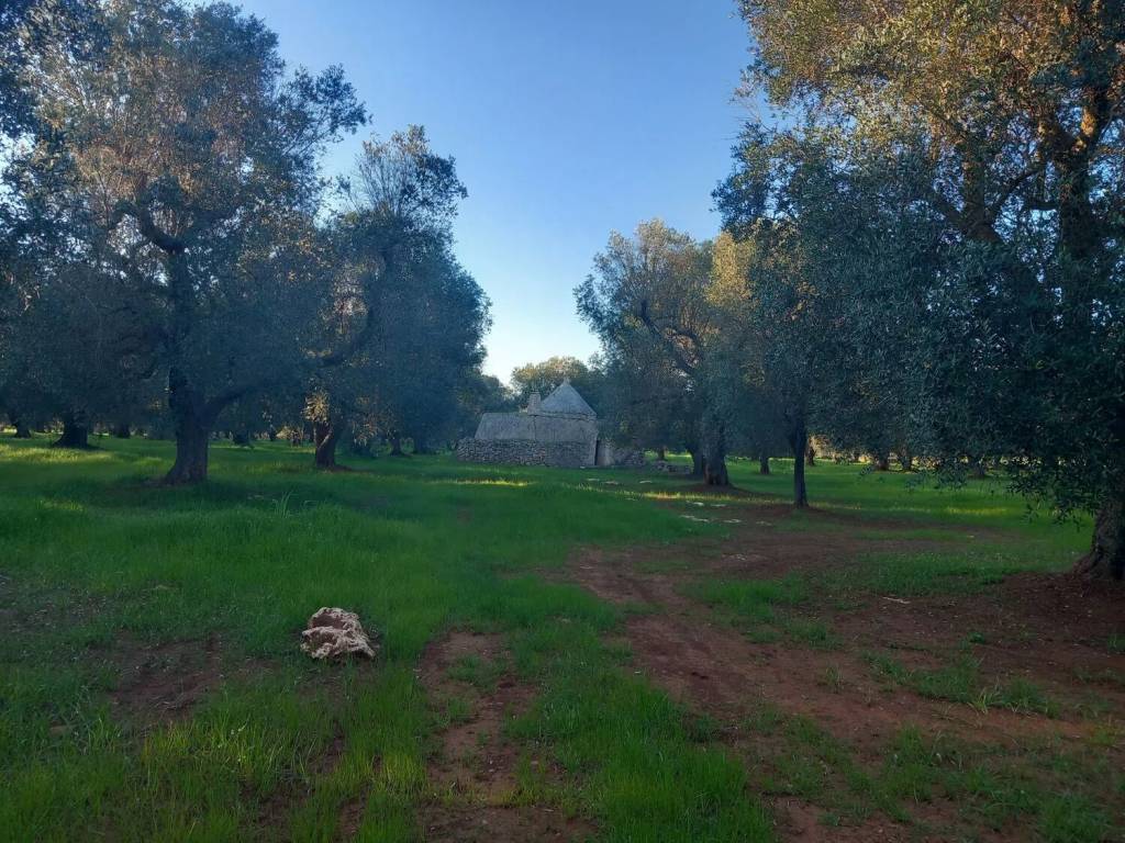 Rustico / casale a San michele salentino in Contrada Archi Vecchi S.N.C. - Foto 2