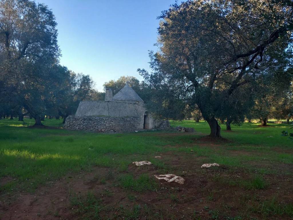 Rustico / casale a San michele salentino in Contrada Archi Vecchi S.N.C. - Foto 5