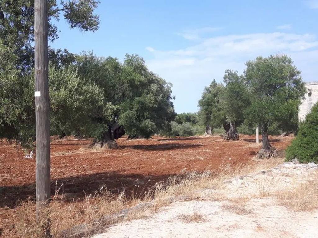 Rustico / casale a Ostuni in Contrada Alberodolce S.N.C. - Foto 4