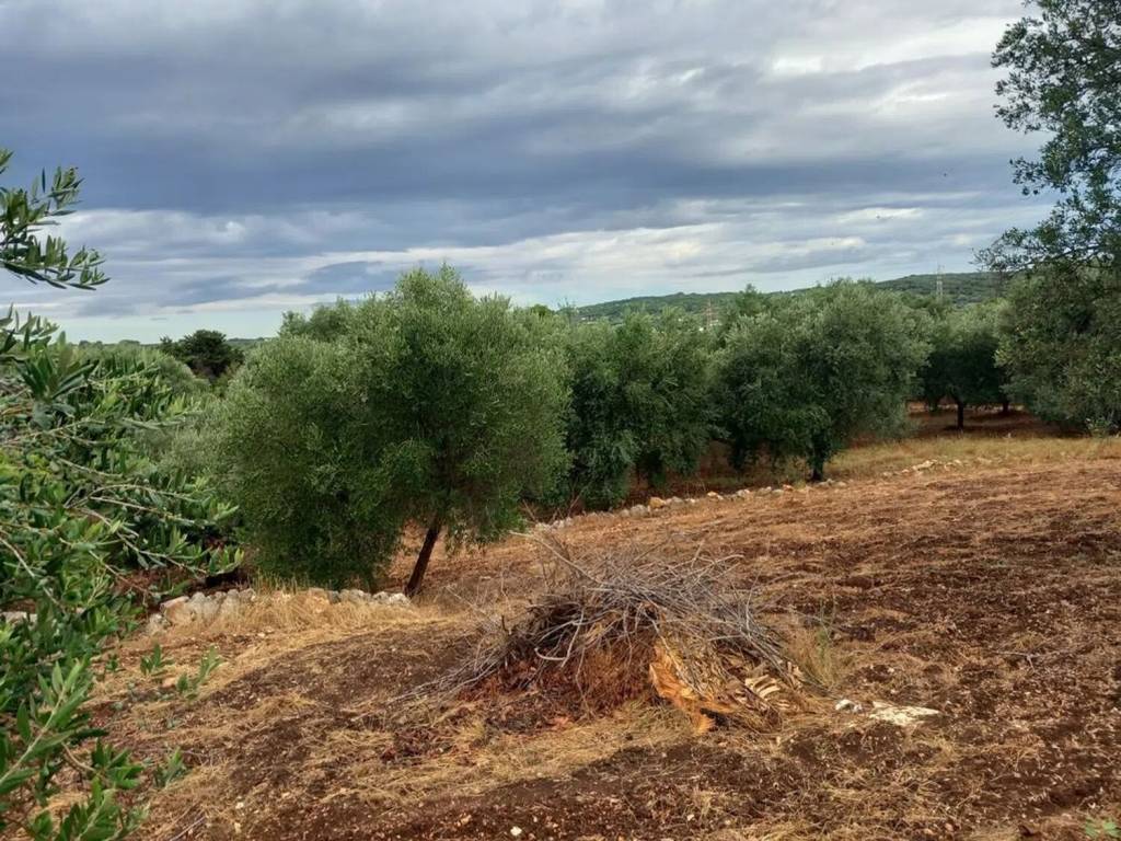 Rustico / casale a Ostuni in Contrada Vallegna S.N.C. - Foto 4