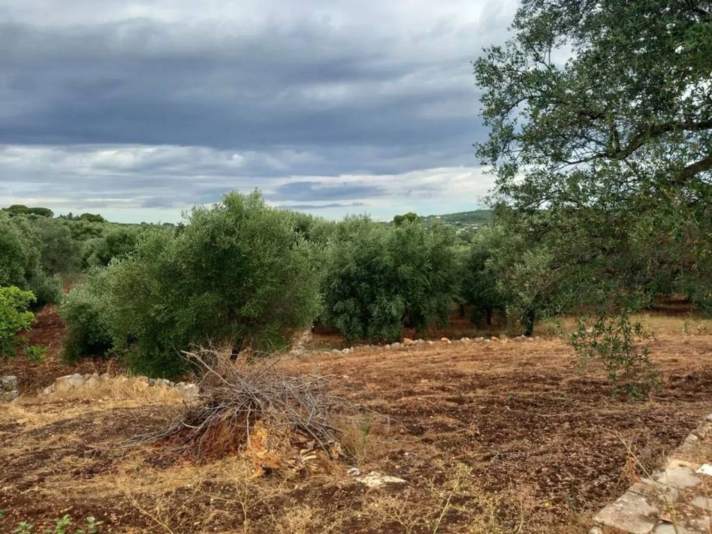Rustico / casale a Ostuni in Contrada Vallegna S.N.C. - Foto 5