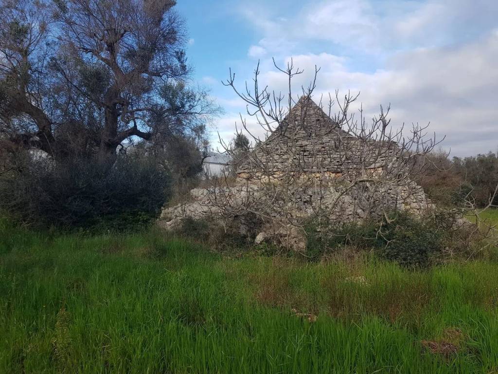 Rustico / casale a Ceglie messapica in Contrada Difesola S.N.C. - Foto 3