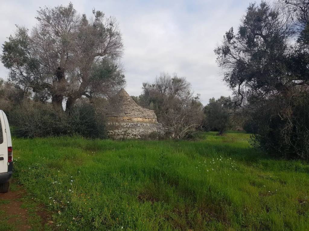 Rustico / casale a Ceglie messapica in Contrada Difesola S.N.C. - Foto 4