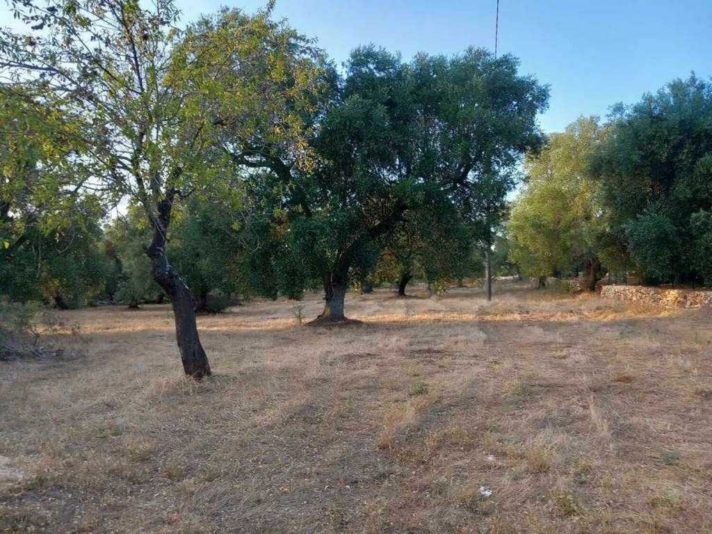 Rustico / casale a Ostuni in Contrada Giovanniello S.N.C. - Foto 2