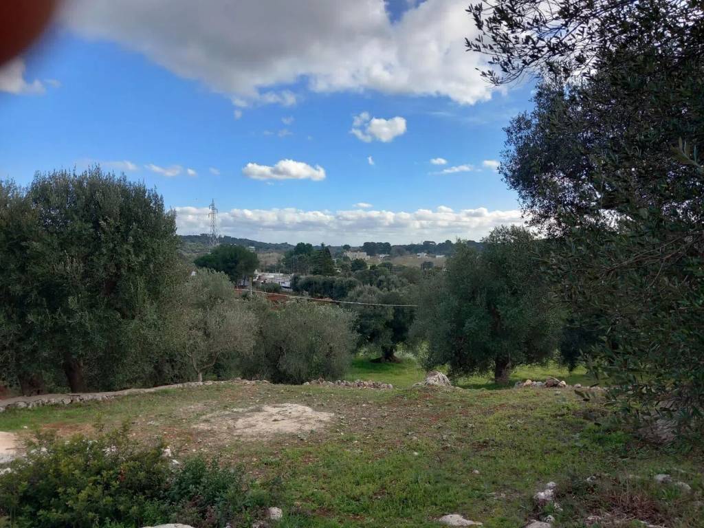 Rustico / casale a Ostuni in Contrada Vallegna S.N.C. - Foto 5