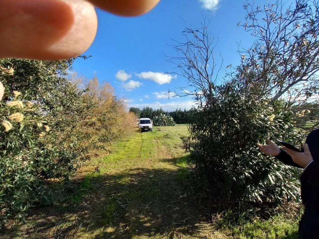 Rustico / casale a Brindisi in Contrada Apani S.N.C. - Foto 3