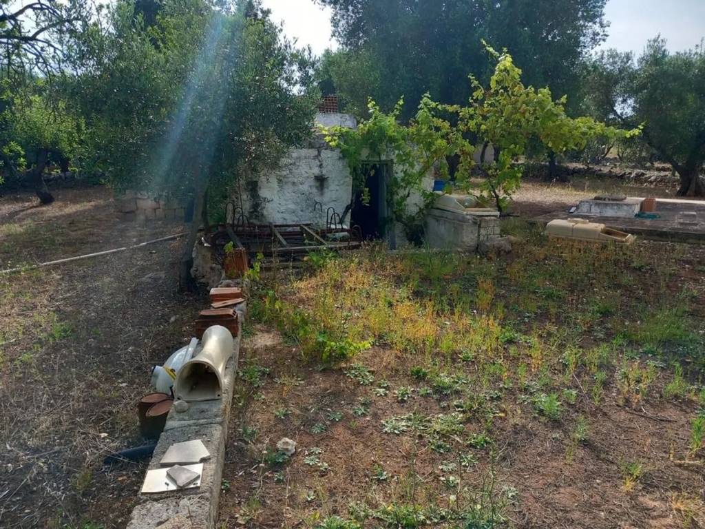 Rustico / casale a Ostuni in Contrada Citrignano S.N.C. - Foto 3