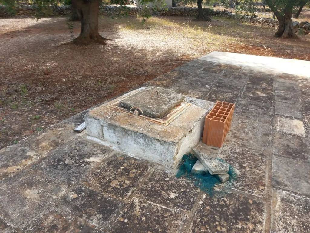 Rustico / casale a Ostuni in Contrada Citrignano S.N.C. - Foto 4