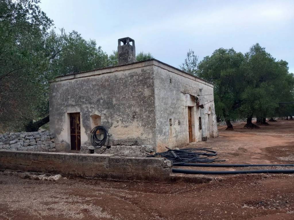 Rustico / casale a Ostuni in Contrada Casieddi S.N.C. - Foto 3