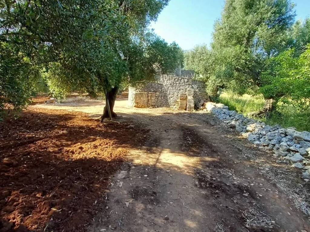 Rustico / casale a Ostuni in Contrada Casieddi S.N.C. - Foto 4
