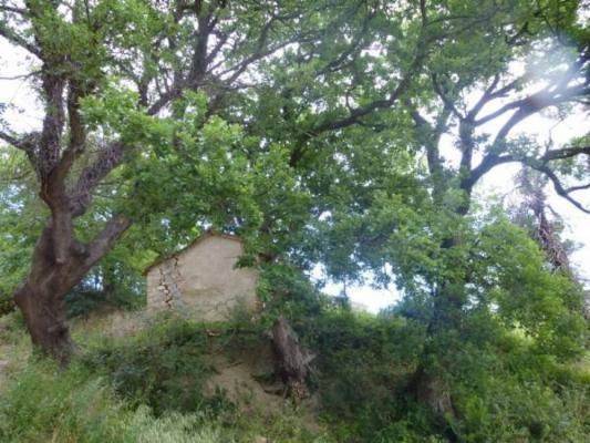 Rustico / casale a San severino marche - Foto 3