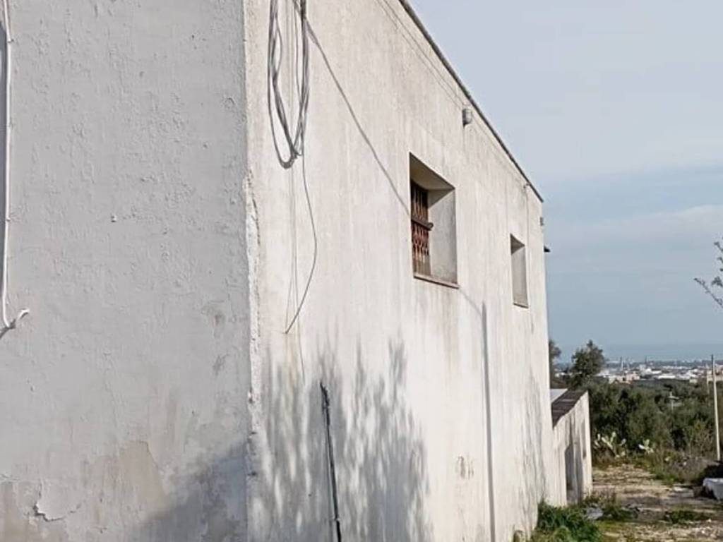 Rustico / casale a Ostuni in Ss. 16 S.N.C. - Foto 2