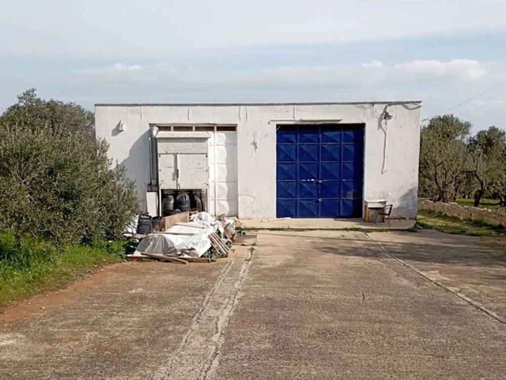 Rustico / casale a Ostuni in Ss. 16 S.N.C. - Foto 3