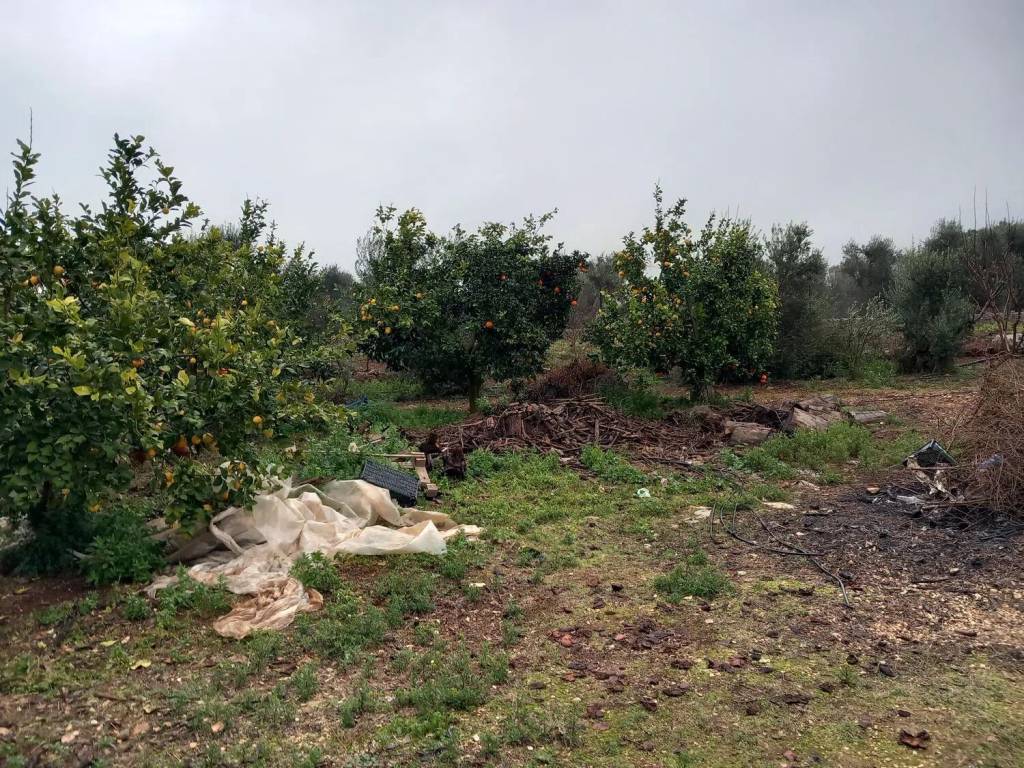 Rustico / casale a San vito dei normanni in Contrada San Giacomo S.N.C. - Foto 4