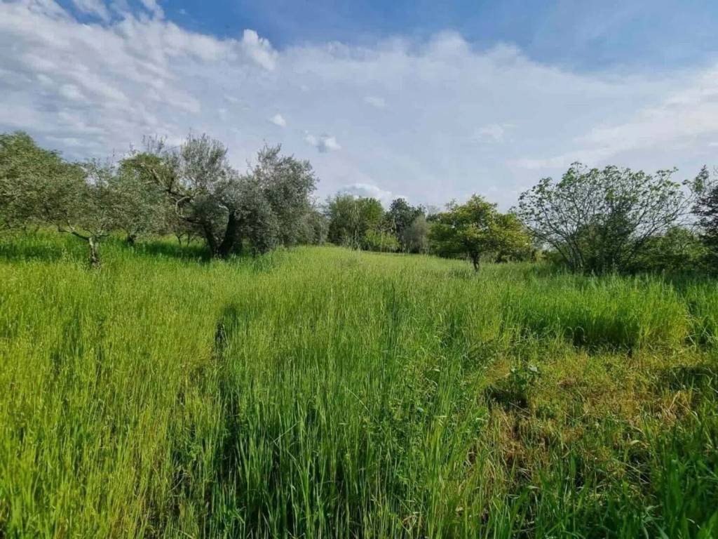 Rustico / casale a Ausonia - Foto 4