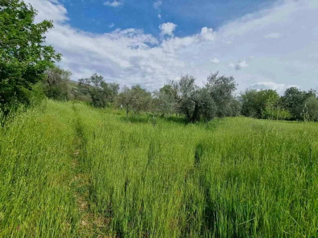 Rustico / casale a Ausonia - Foto 5