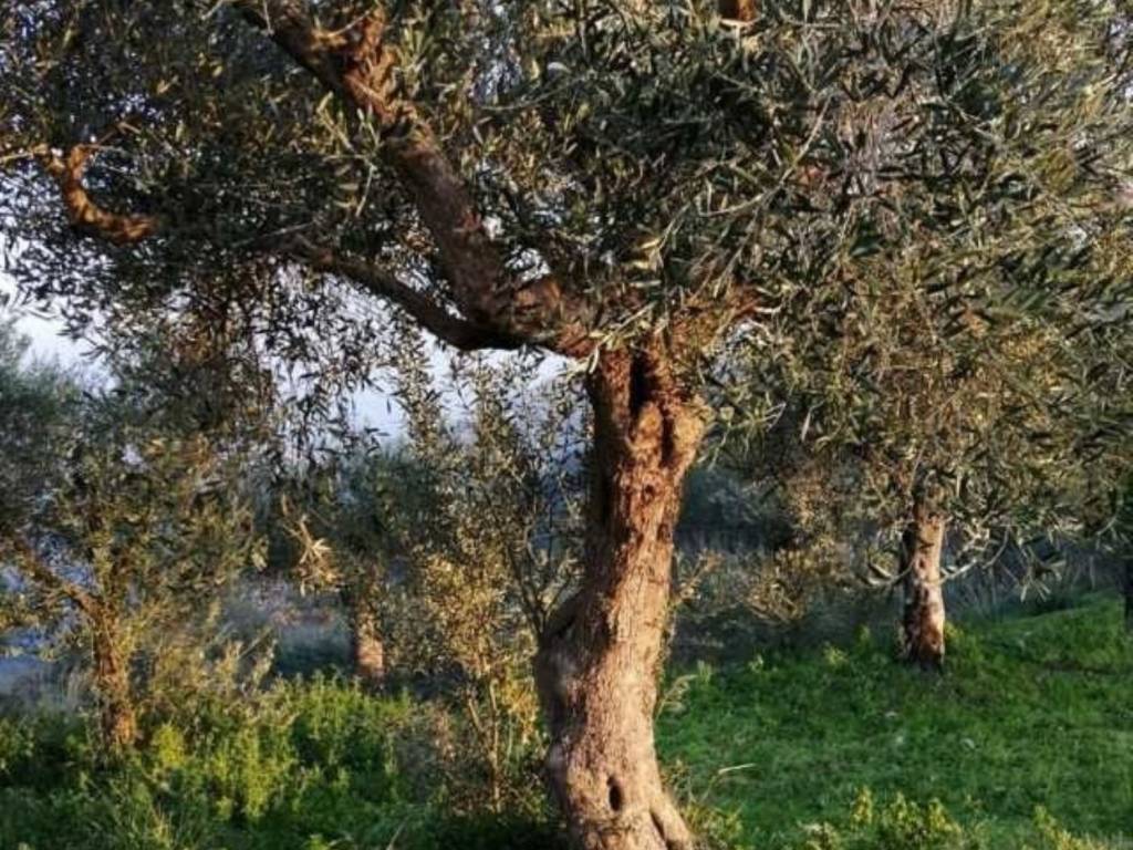 Villa a Minturno in Via Le Cese - Foto 3