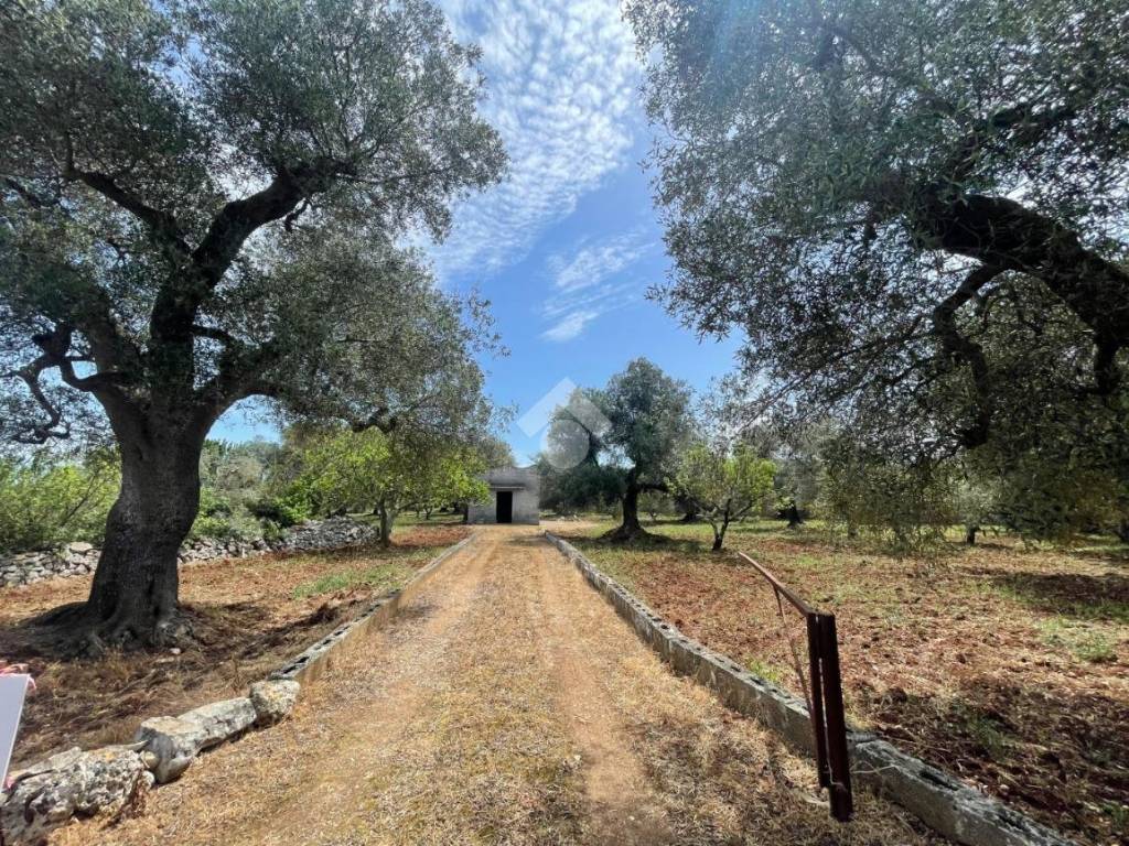 Rustico / casale a Ceglie messapica in Contrada Foresta - Foto 2