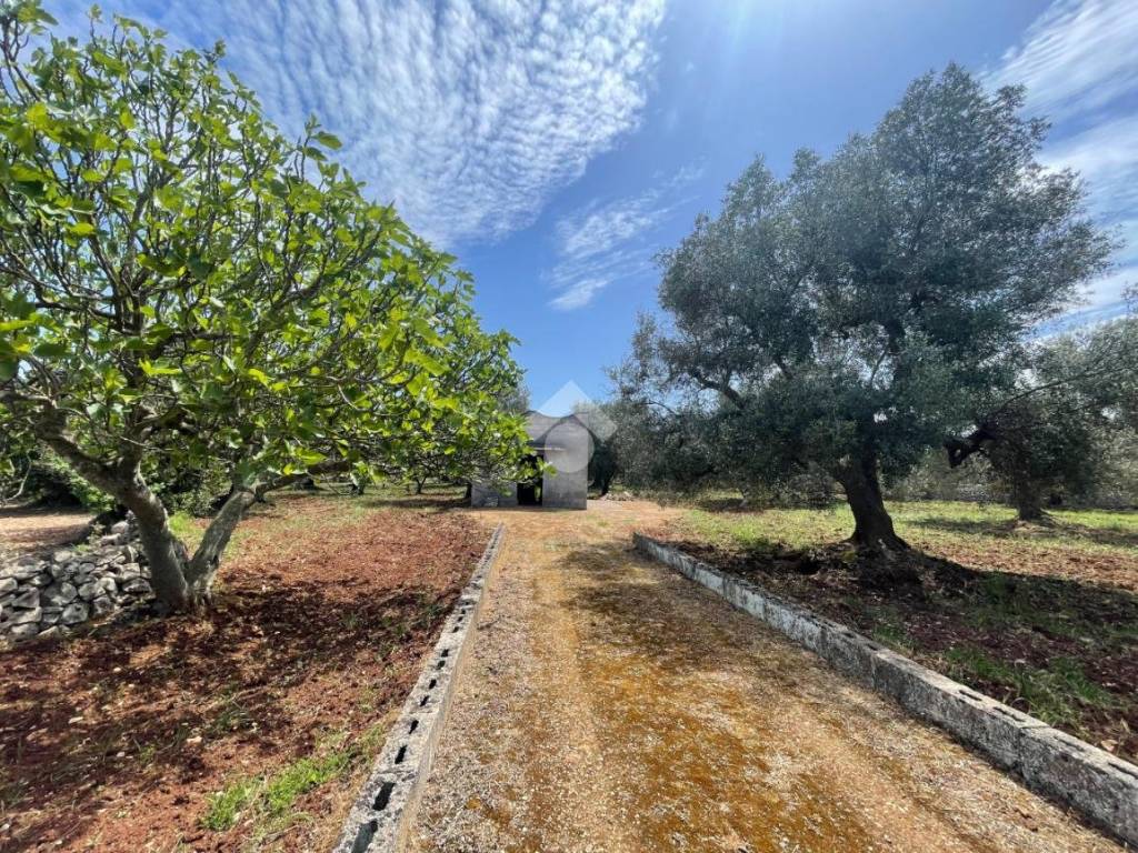 Rustico / casale a Ceglie messapica in Contrada Foresta - Foto 3