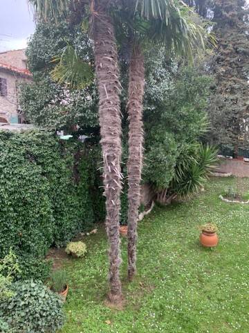Villa a Collesalvetti - Foto 2