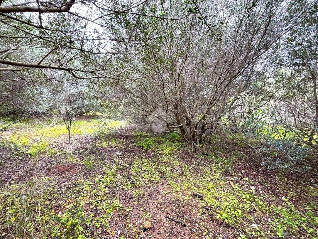 Terreno a Bagheria in Via Papa Giovanni Paolo II - Foto 2