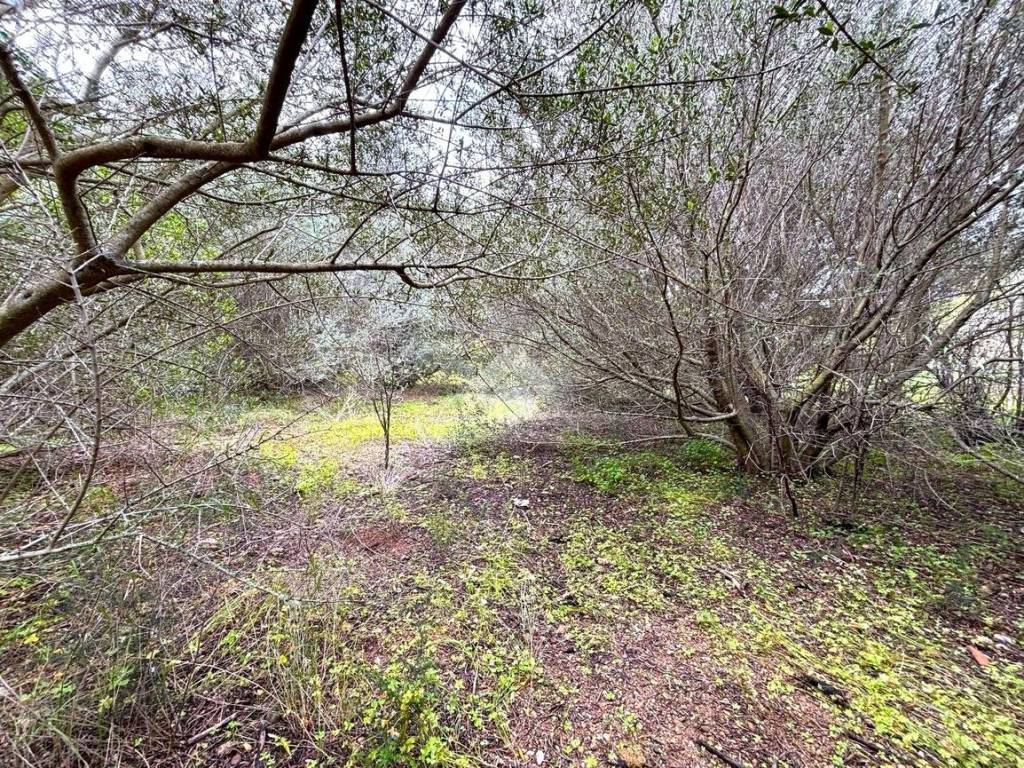 Terreno a Bagheria in Via Papa Giovanni Paolo II - Foto 4
