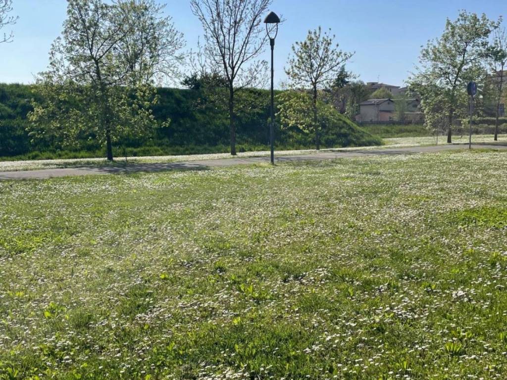 Villetta a schiera a Piacenza in Via Grazia Deledda - Foto 5