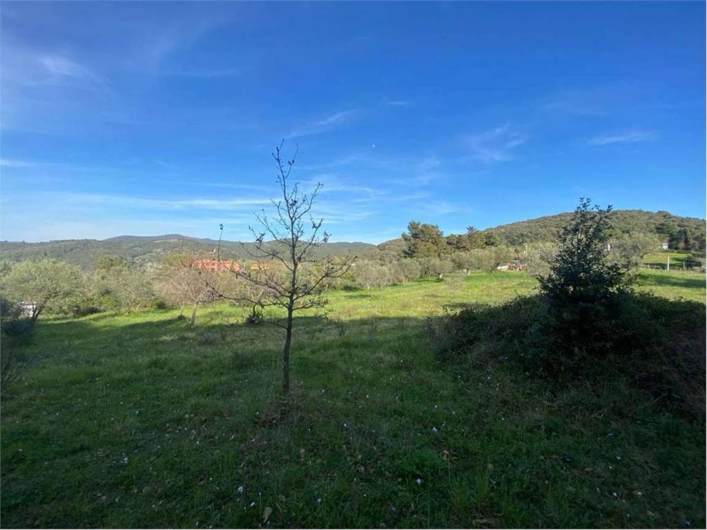 Terreno a Livorno in via delle fattorie - Foto 3