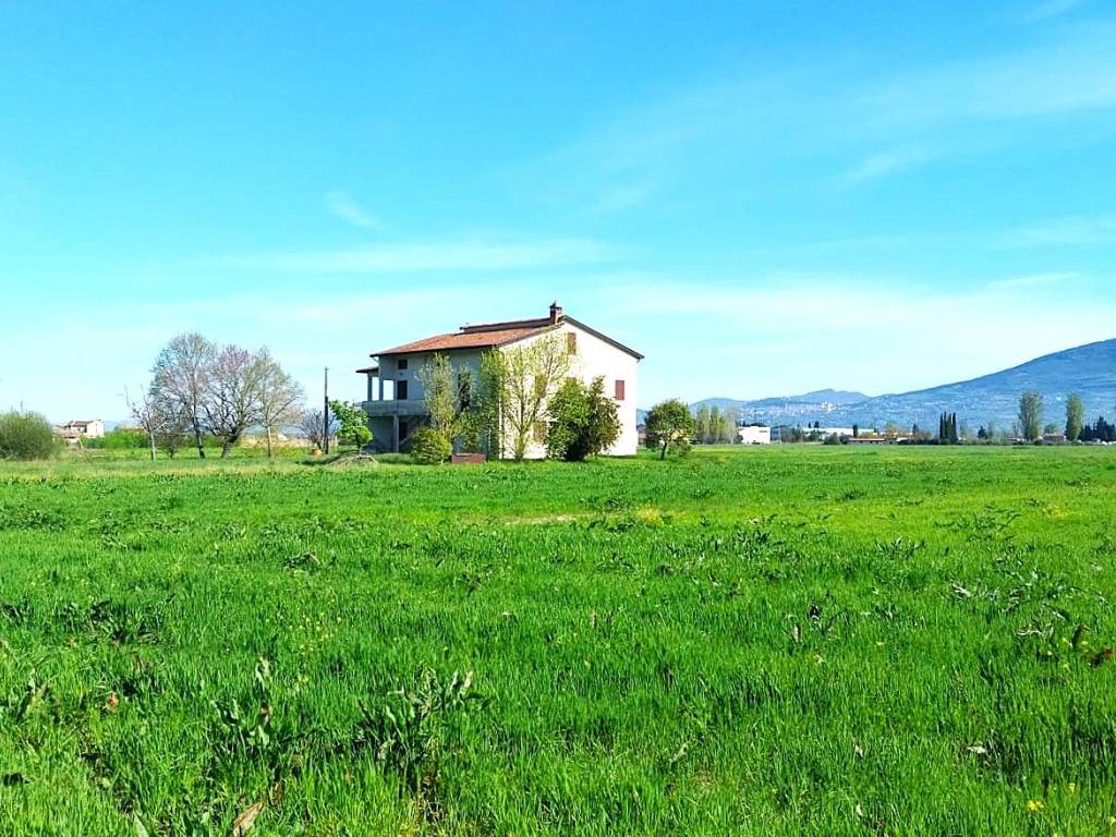 Villa a Cannara in Via Stazione - Foto 2