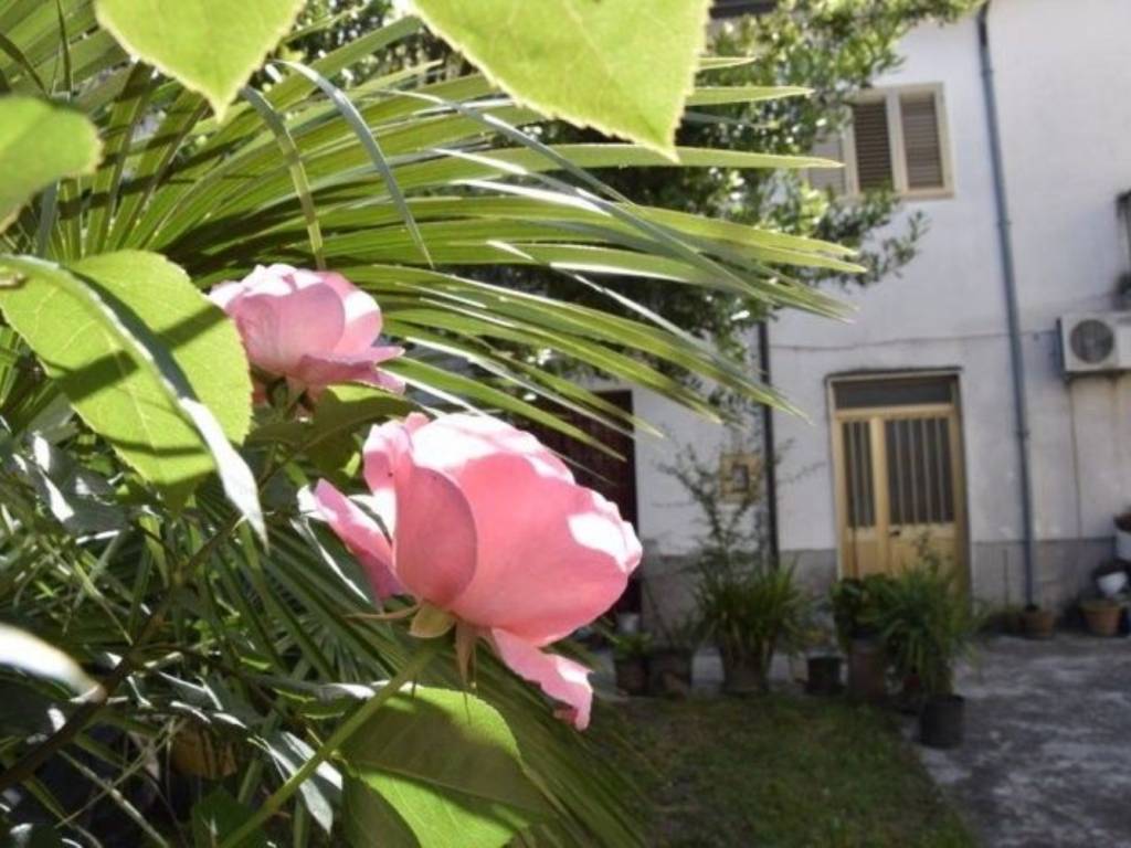 Rustico / casale a Sant'apollinare in Corso Giuseppe Mazzini - Foto 3