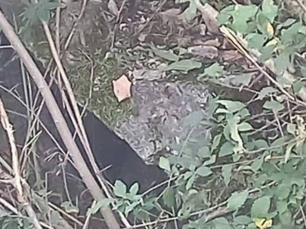 Rustico / casale a Esperia - Foto 2