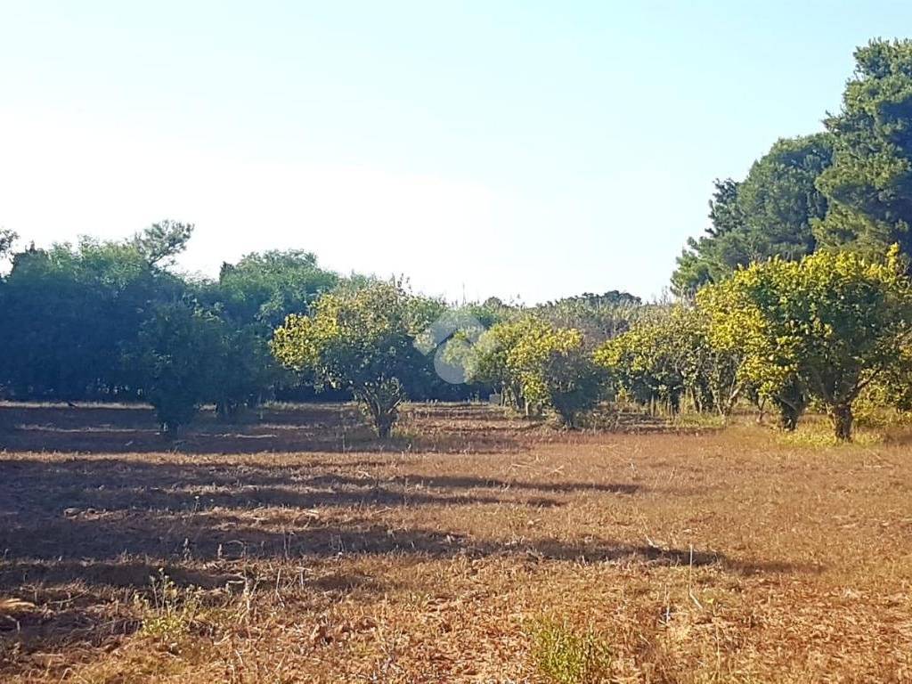 Villa a Sorso in Serra Longa - Lu pinu - Foto 2