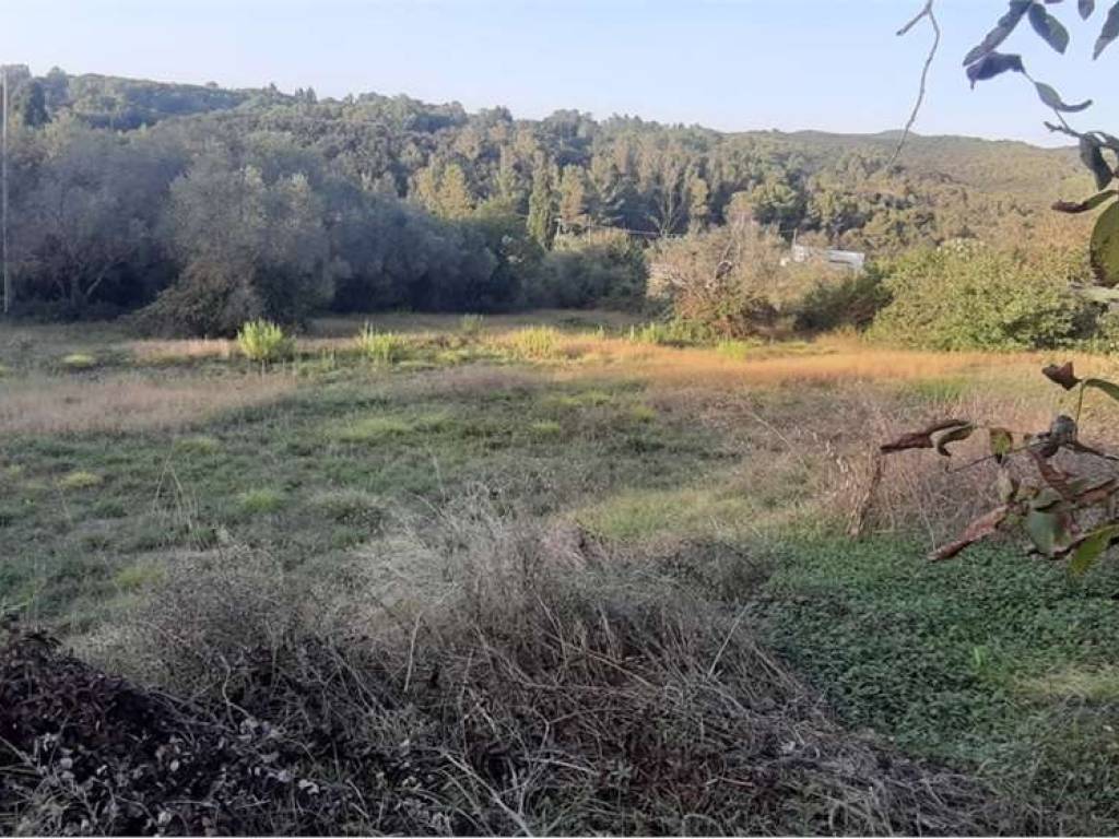 Terreno a Livorno in via delle fattorie - Foto 5