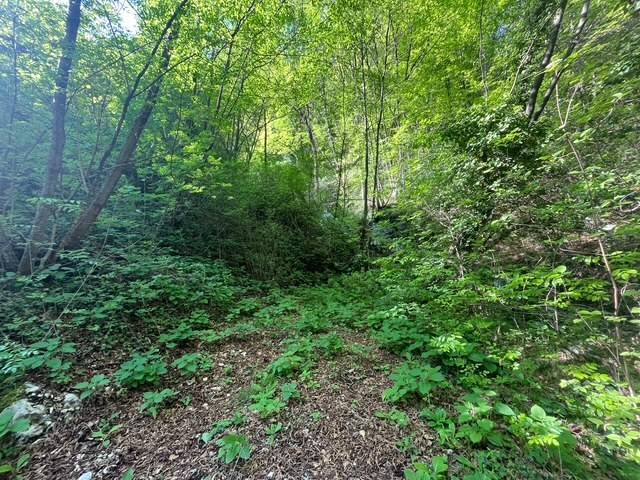 Terreno a Ledro in Località Leano - Foto 2