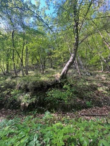 Terreno a Ledro in Località Leano - Foto 3
