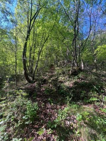 Terreno a Ledro in Località Leano - Foto 4