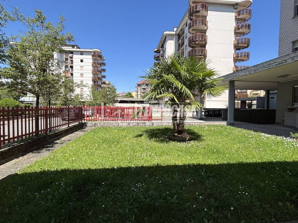 Appartamento a Casale monferrato in Via Papa Giovanni XXIII - Foto 2
