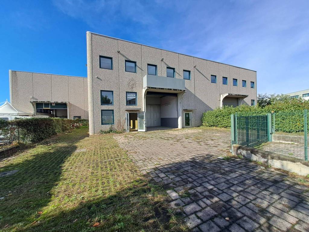 immagine di copertina