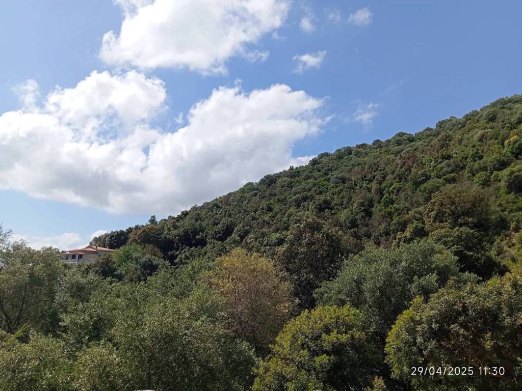 Appartamento a Torpè - Foto 3