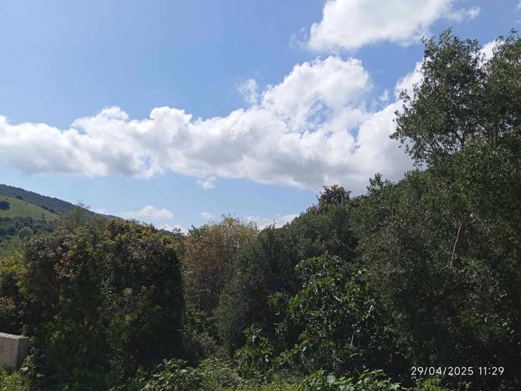 Appartamento a Torpè - Foto 4
