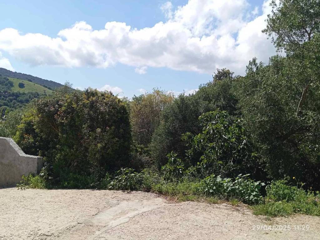 Appartamento a Torpè - Foto 5