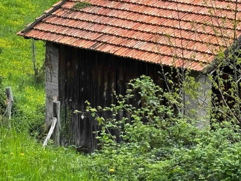 Rustico / casale a Varallo in Parone - Foto 2