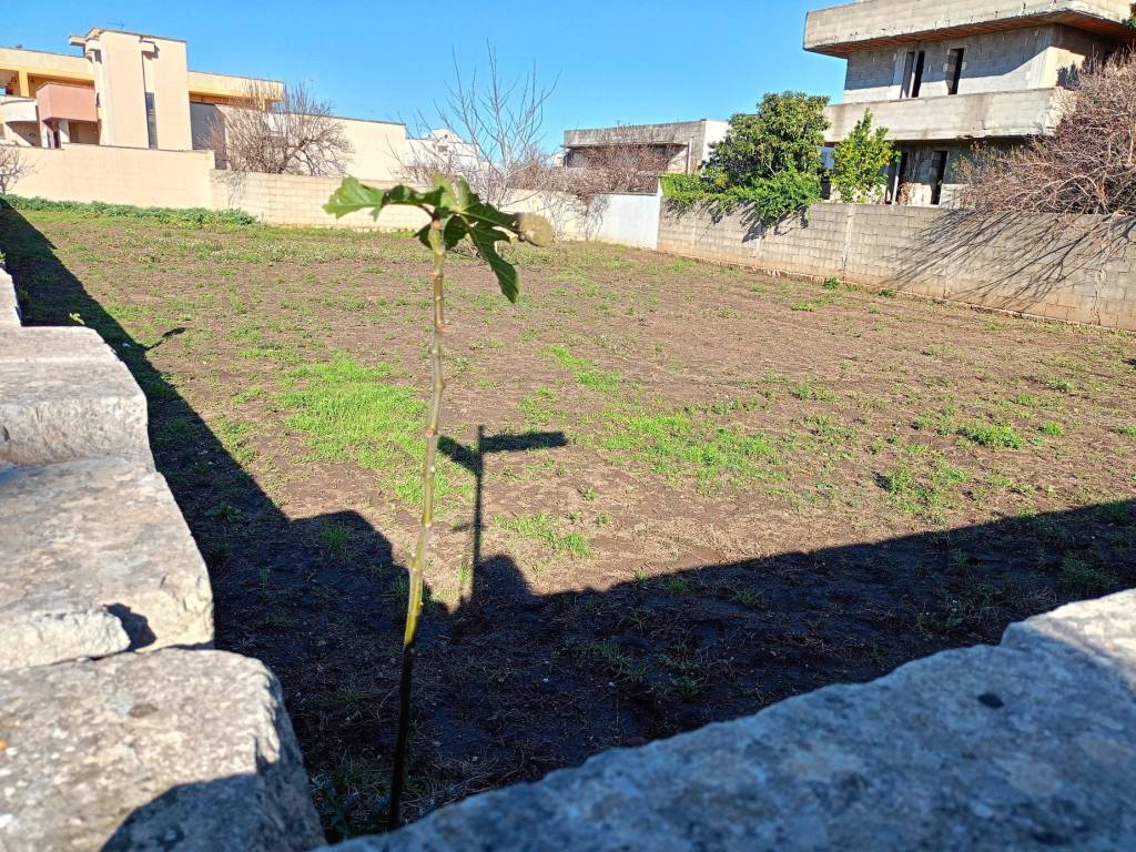 Terreno a Cursi in Via Giovanni Pascoli - Foto 3