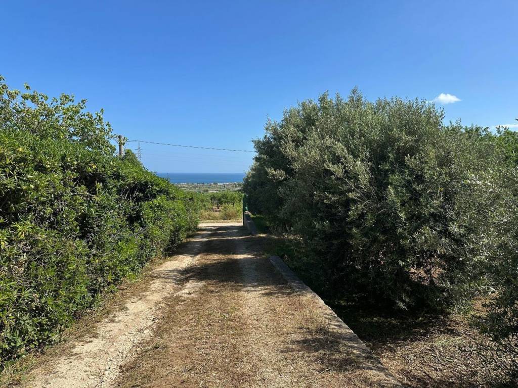 Villa a Avola in contrada petrara - Foto 5