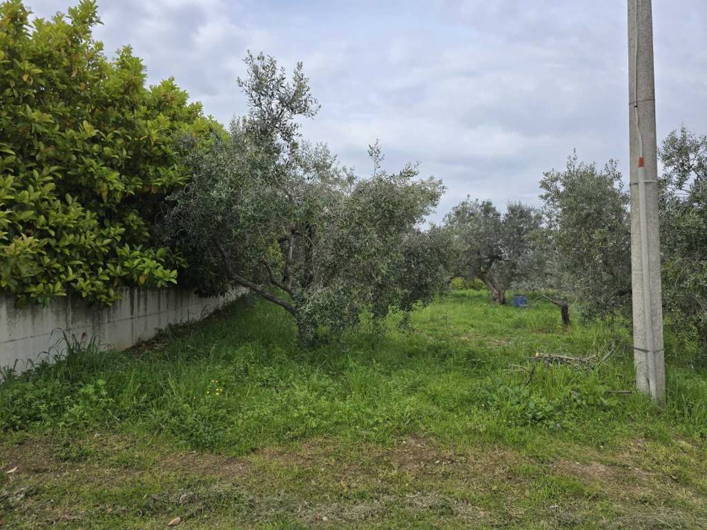 Terreno a Vasto - Foto 2