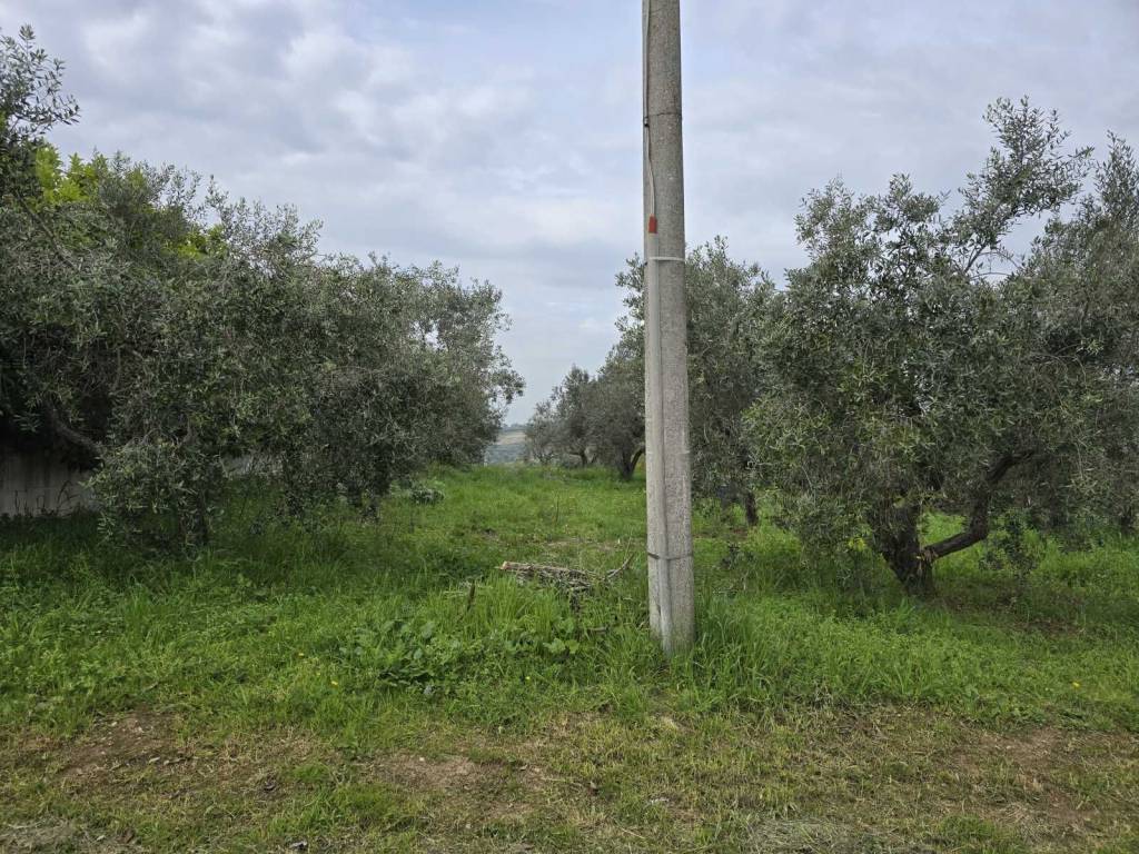 Terreno a Vasto - Foto 3