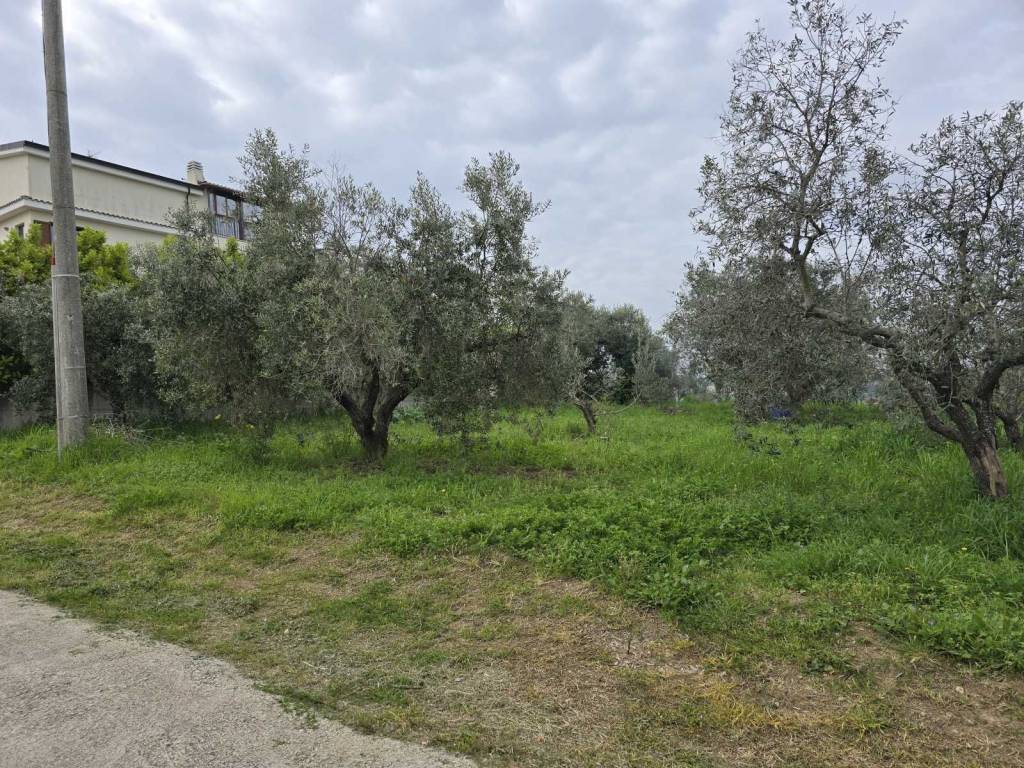 Terreno a Vasto - Foto 4